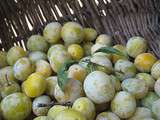 Bocaux de mirabelles au sirop