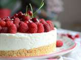 Cheesecake sans cuisson aux fruits rouges du jardin