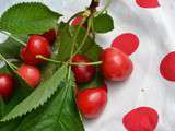 Clafoutis aux cerises et pistache