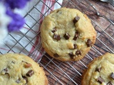 Cookies aux pépites de chocolat de Michel Dumas