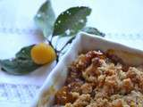 Crumble aux mirabelles #sans beurre