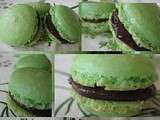 Macarons menthe chocolat