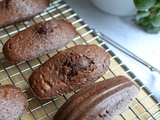 Madeleines au cacao