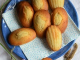 Madeleines au yaourt