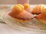 Madeleines aux épices