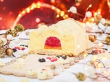 Bûche de Noël Casse-Noisette mangue framboise