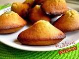 Madeleines au citron et la boutique en couleur