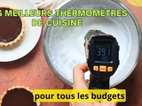 Meilleurs thermomètres de cuisine en 2023 : guide et comparatif