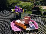 Biscuit fin aux agrumes