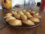 Petites madeleines