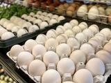 Comment sélectionner les meilleurs œufs en supermarché : les points essentiels à considérer