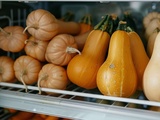 Conservation des courges au frigo : Est-ce possible pour le potimarron et le butternut