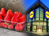 Découverte horrifiante chez Lidl : que cachent ces fraises innocentes 🍓