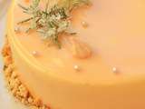 L'entremet rom'abricot