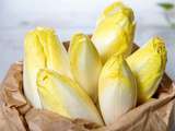 Tout savoir sur l’endive