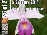 Fête des fleurs & saveurs, Soissons