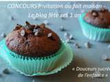 Blog fête ses 1 an - concours