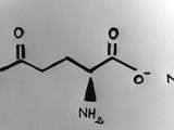 Glutamate De Sodium ou E621