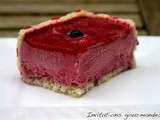 Entremets comme un bavarois aux fruits rouges