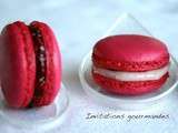 Macarons framboises et ses 2 ganaches