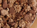 Fantastik gianduja noisettes