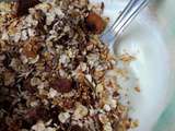 Granola aux noisettes, amandes et au chocolat