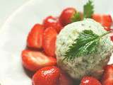 J'aime les mauvaises herbes {Sorbet au fromage blanc et aux orties}