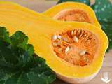 Courge Butternut