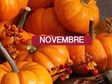 Produits de novembre