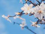 Repas en terrasse ou au jardin : on sort les couleurs