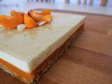 Soleil Abricot en Entremet