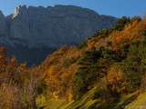 Couleurs d’Automne autour de Grenoble