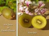 Kiwi jaune ou Kiwi Gold (Nouvelle Zelande)