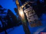 Nuit atypique au Engholm Husky Lodges, Laponie