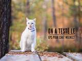 On a testé : le gps pour chat Weenect