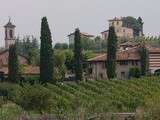 Visite des caves Bellavista en Lombardie