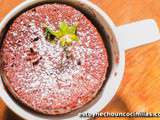 “mug cake” au chocolat (la recette facile)