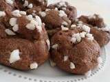 CHouQUeTTeS Au CHoCoLaT