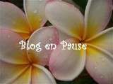 Blog en Pause