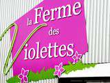 Coup de cœur : La ferme des violettes