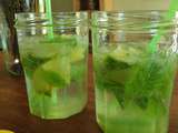 Véritable Mojito