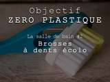 Salle de bain Zéro Déchet (ou presque) #2 : Brosses à dents écolo (et dentifrice)