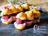 Petits choux – Recette petits choux crème pâtissière aux framboises