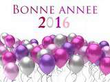 Bonne Année 2016