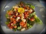 Salade fraîcheur de haricots lingots