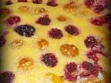 Tarte framboises mirabelles