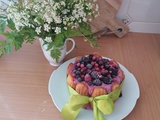 Charlotte de Madeleines & mousse de fruits rouges