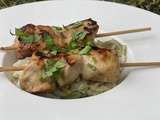 Brochettes de poulet façon yakitori 7💚5💙💜