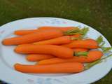 Carottes nouvelles au Thermomix