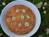 Gâteau ww moelleux aux pommes au Cookéo